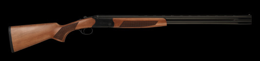 CZ06483