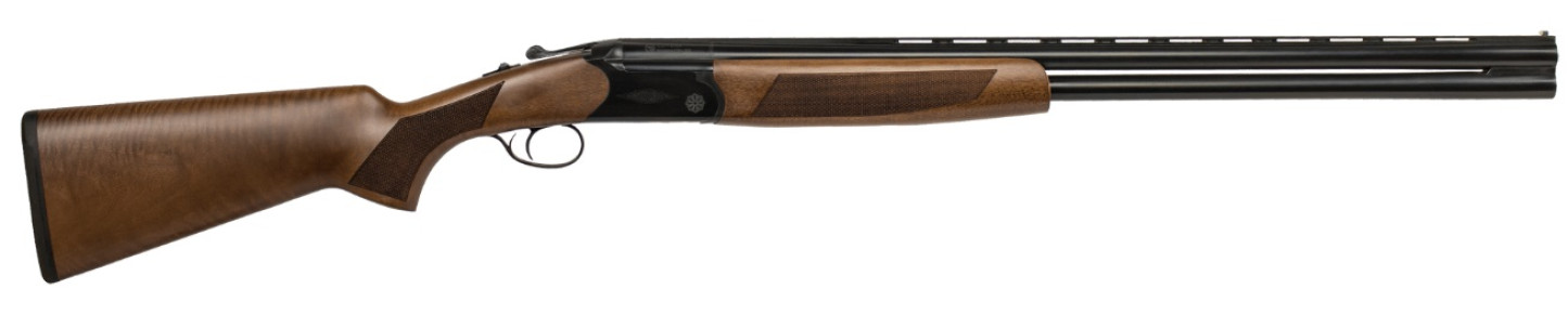 CZ06487