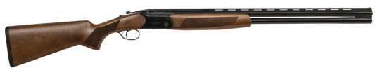 CZ06487