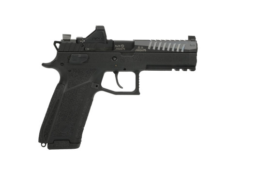 CZ91670