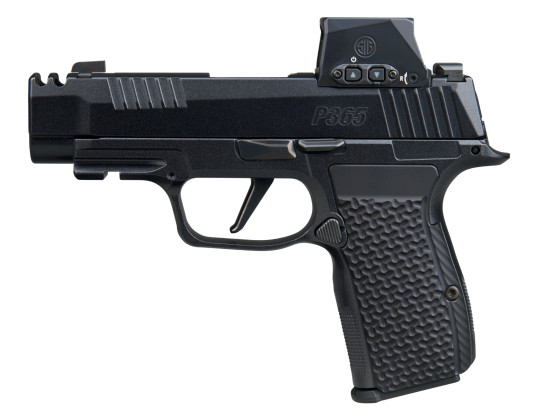P365AXGLUXERXSL