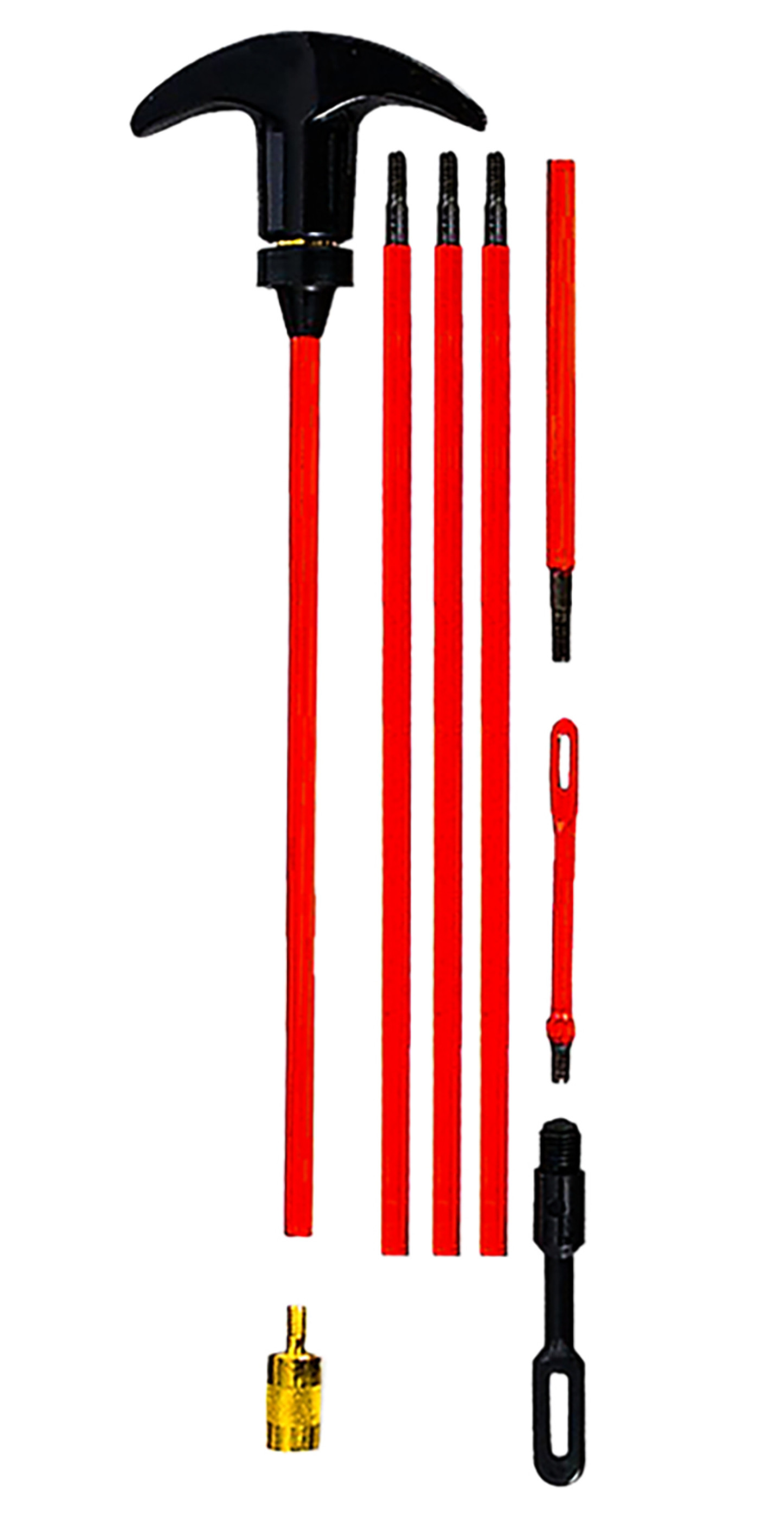 123655