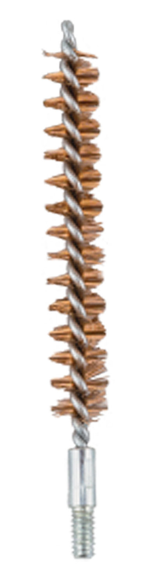 123669