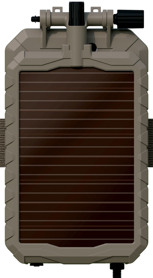 164705