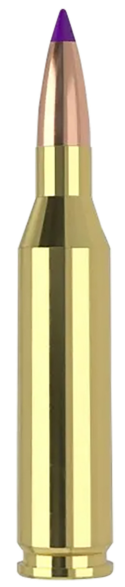 165842