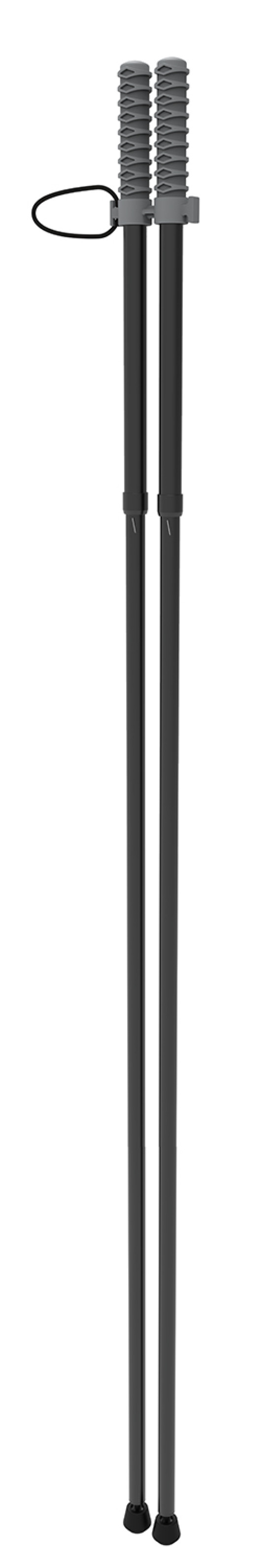 173646
