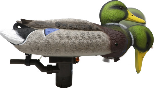 179248