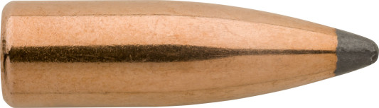 25893