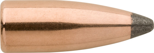 25955
