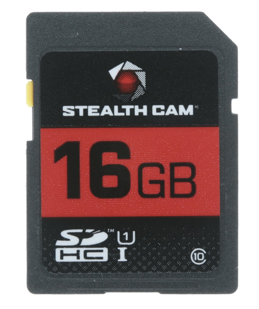 24923