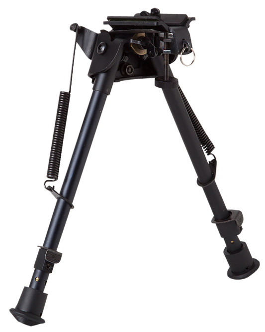 31621